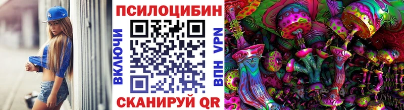 Купить где  Вязники  Псилоцибиновые грибы Psilocybine cubensis 